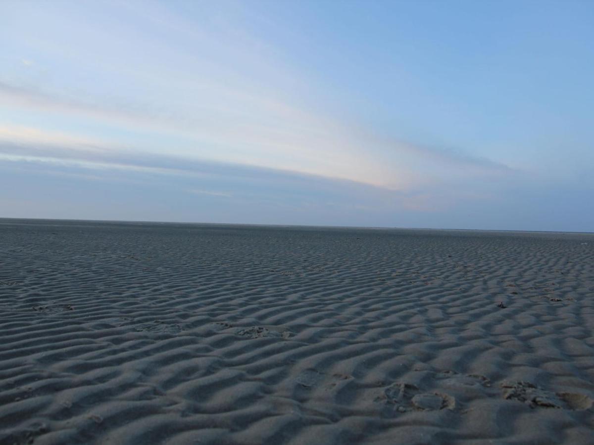 Gorgeous Holiday Home In Texel With Sauna Westermient Eksteriør bilde